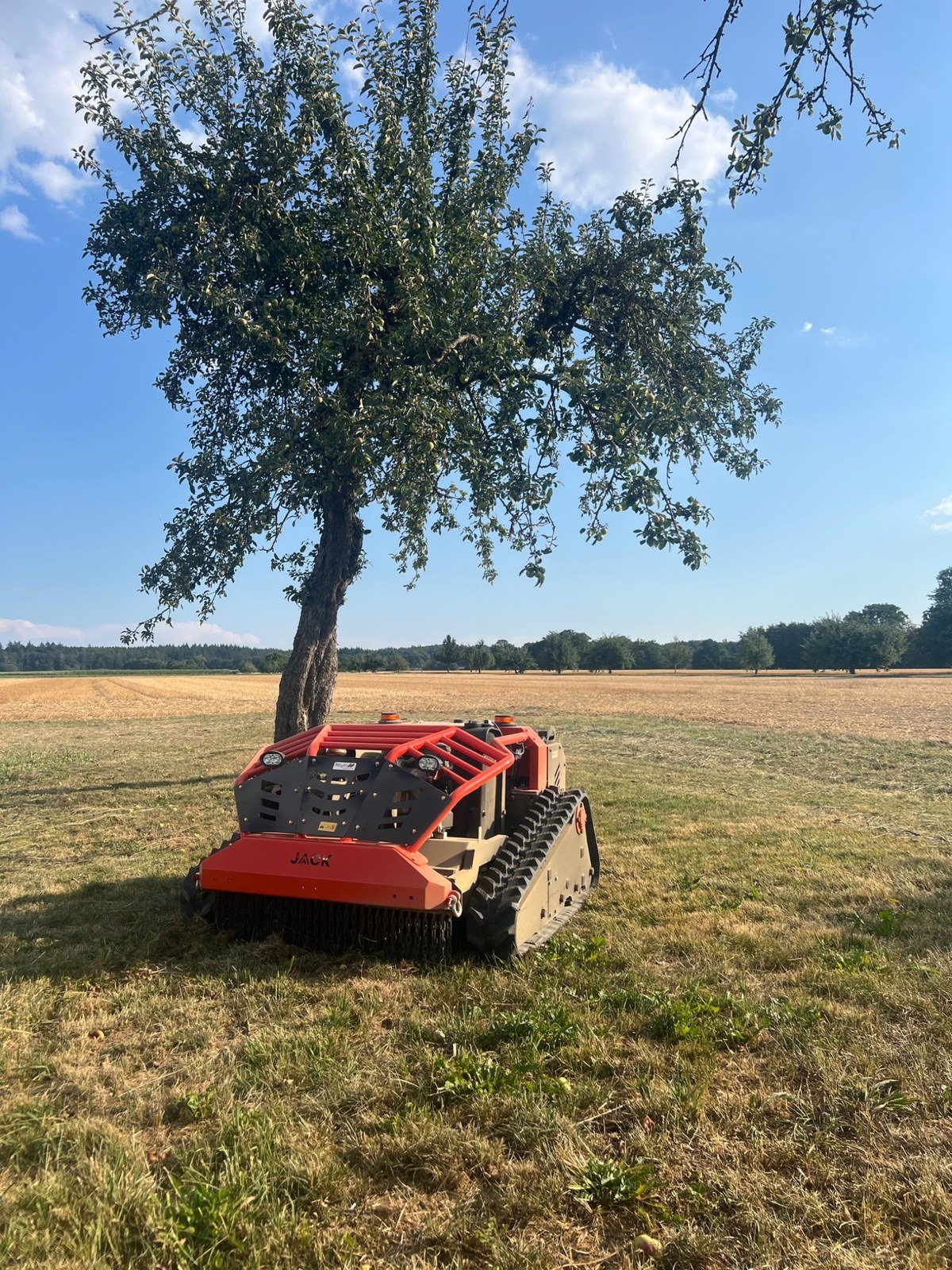 JACK Mähraupe auf der Startseite