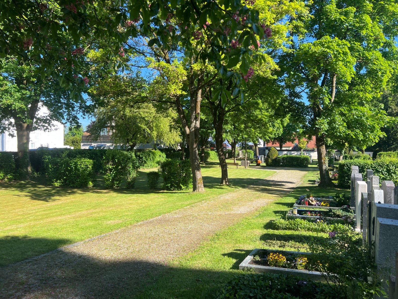 Referenz Friedhofspflege – gepflegte Wegeführung