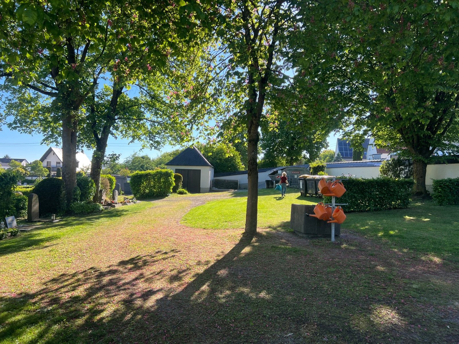 Referenz Friedhofspflege – Friedhof mit Bäumen und Wegen