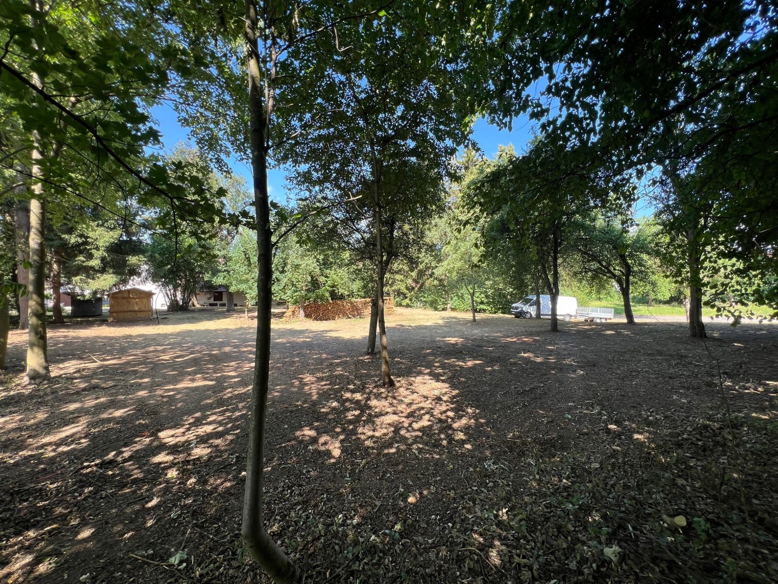 Grundstücksfreilegung – Baum- und Schattenbereich
