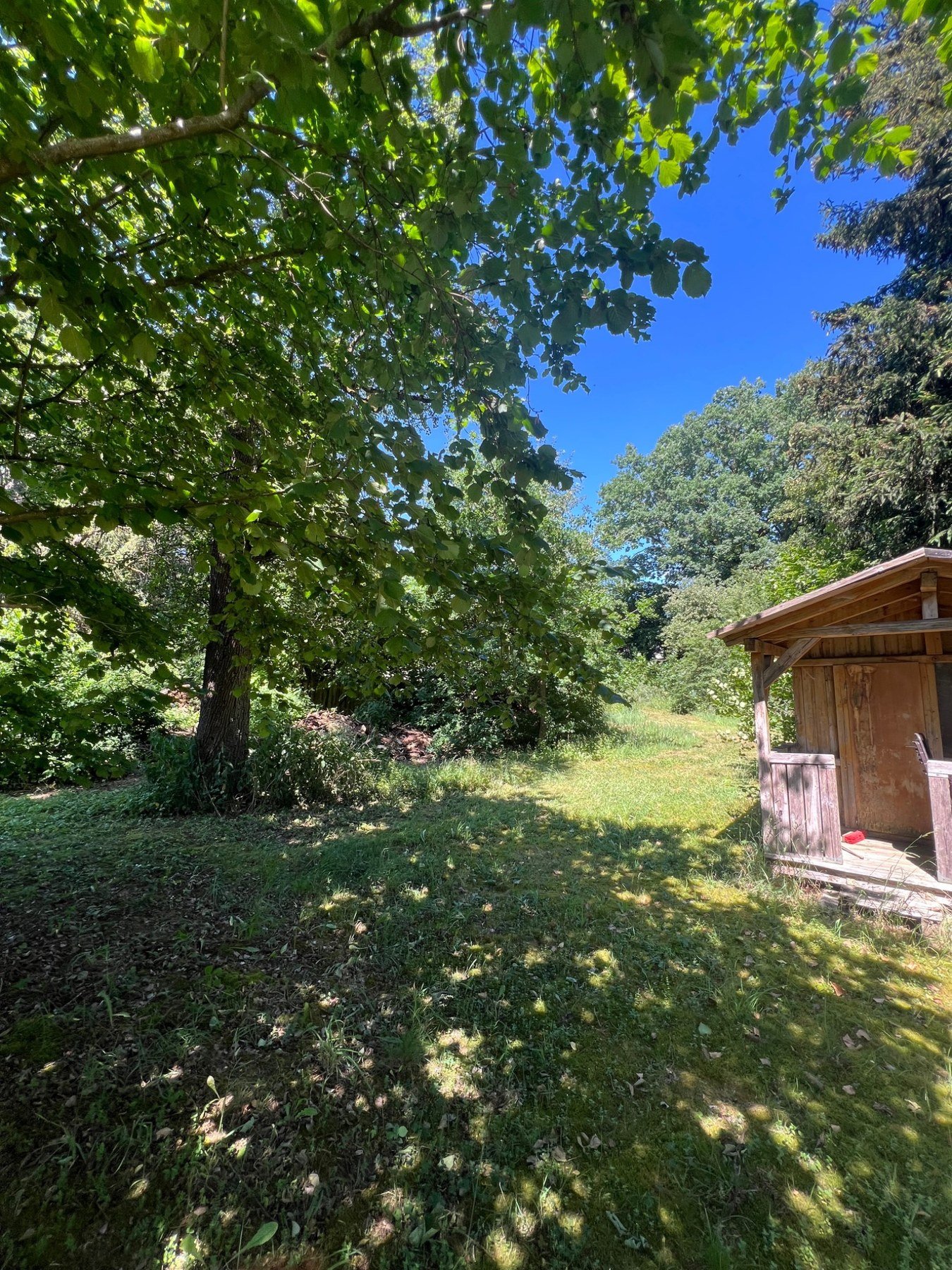 Grundstücksfreilegung – Gartenbereich mit Hütte